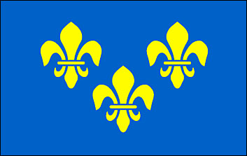 French Fluer-De-Ls Flag