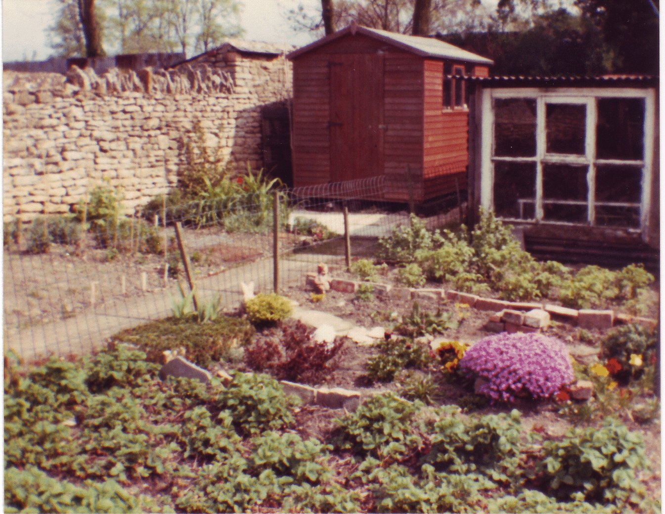 David's Garden